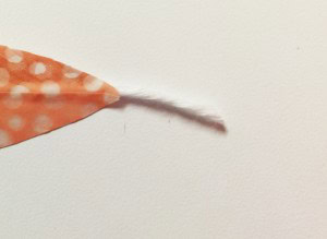washi feather c