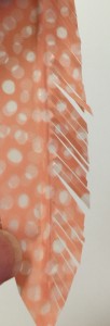 washi feather e