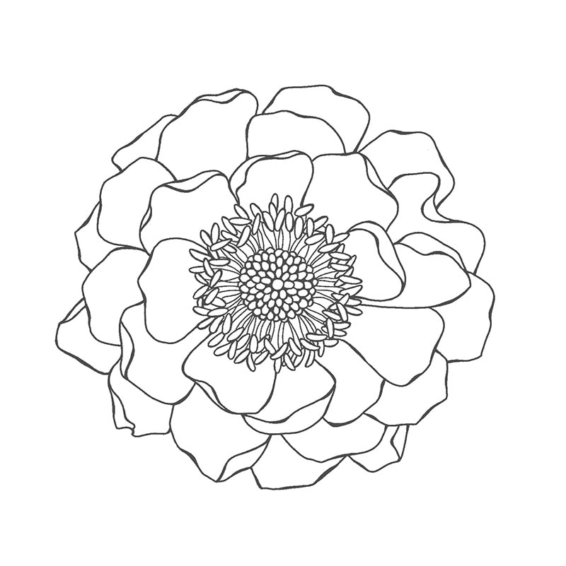 Blended Bloom