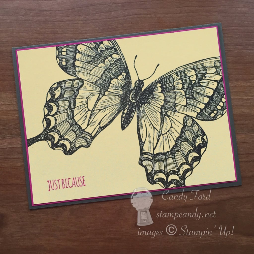 PPA 254 color challenge card a copy