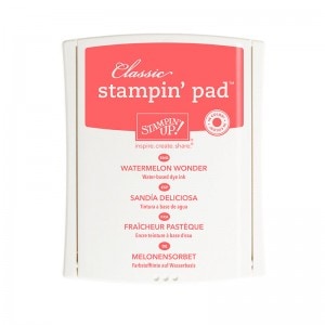 Watermelon Wonder ink pad
