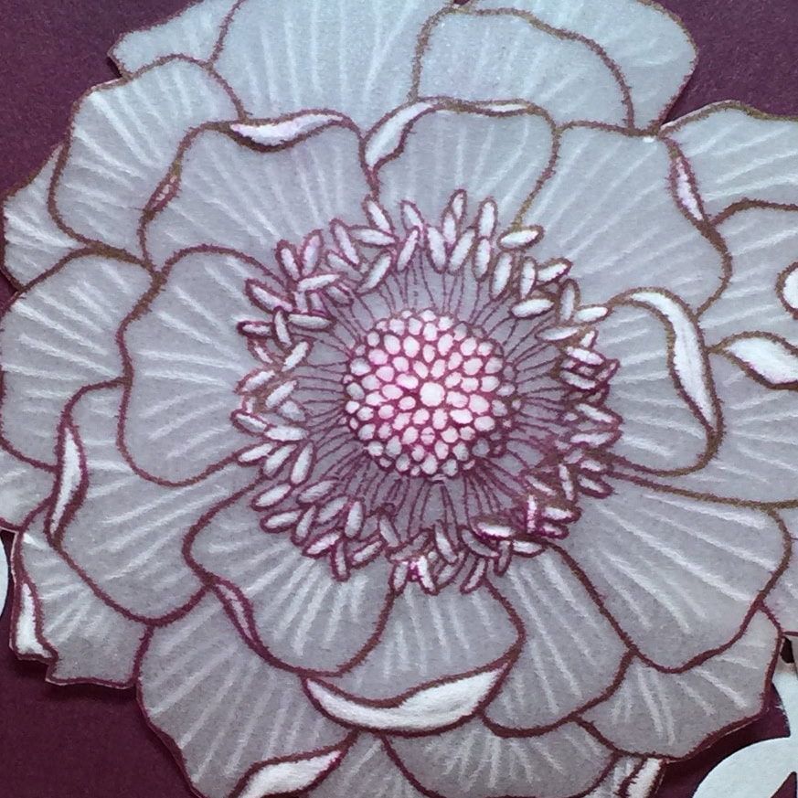 vellum flower card b