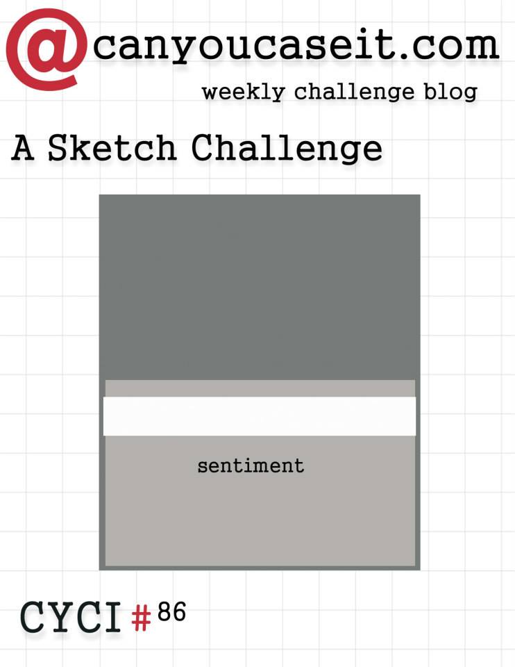 CYCI 86 sketch due 9-11-15