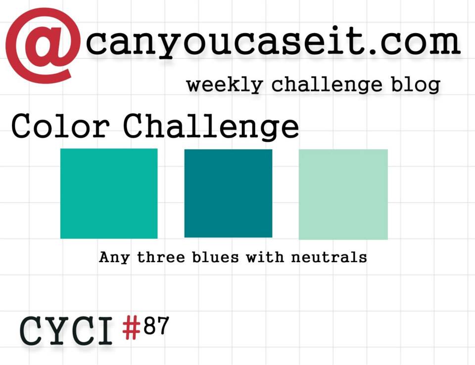 CYCI 87 colors due 9-18-15