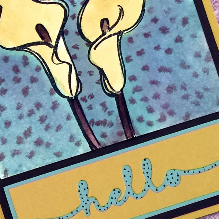 hello lily card b