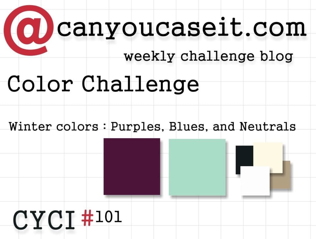 CYCI 101 due 1-1-16