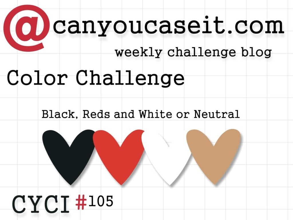 CYCI 105