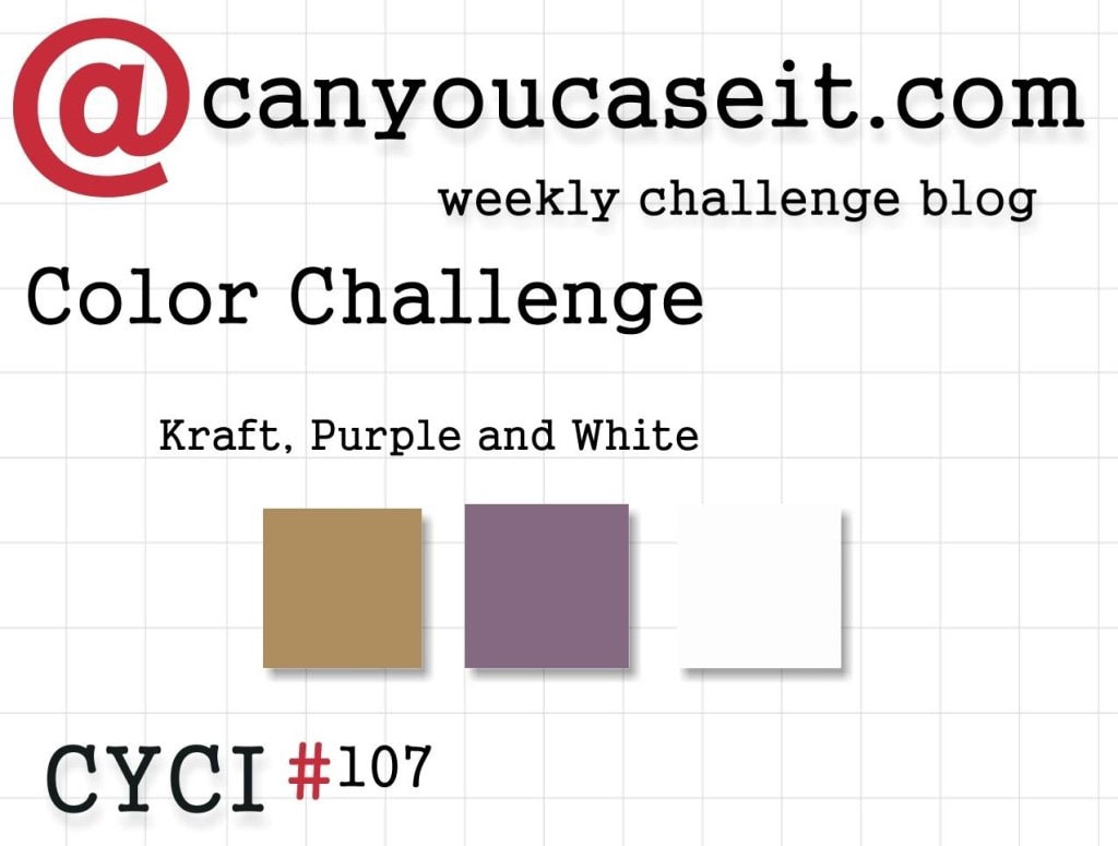 CYCI 107