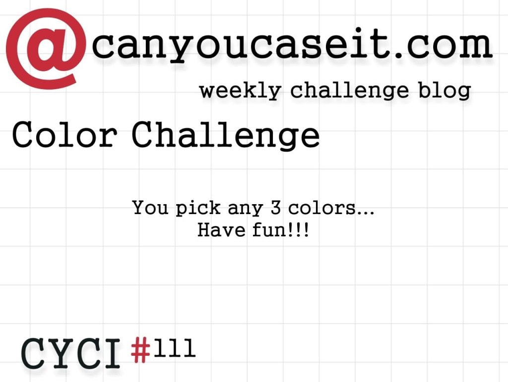 CYCI 111 - March 11-13