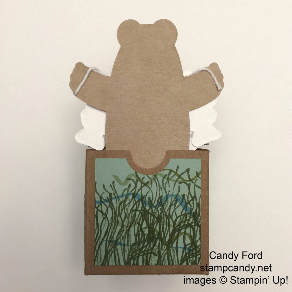 Bear Hugs box d