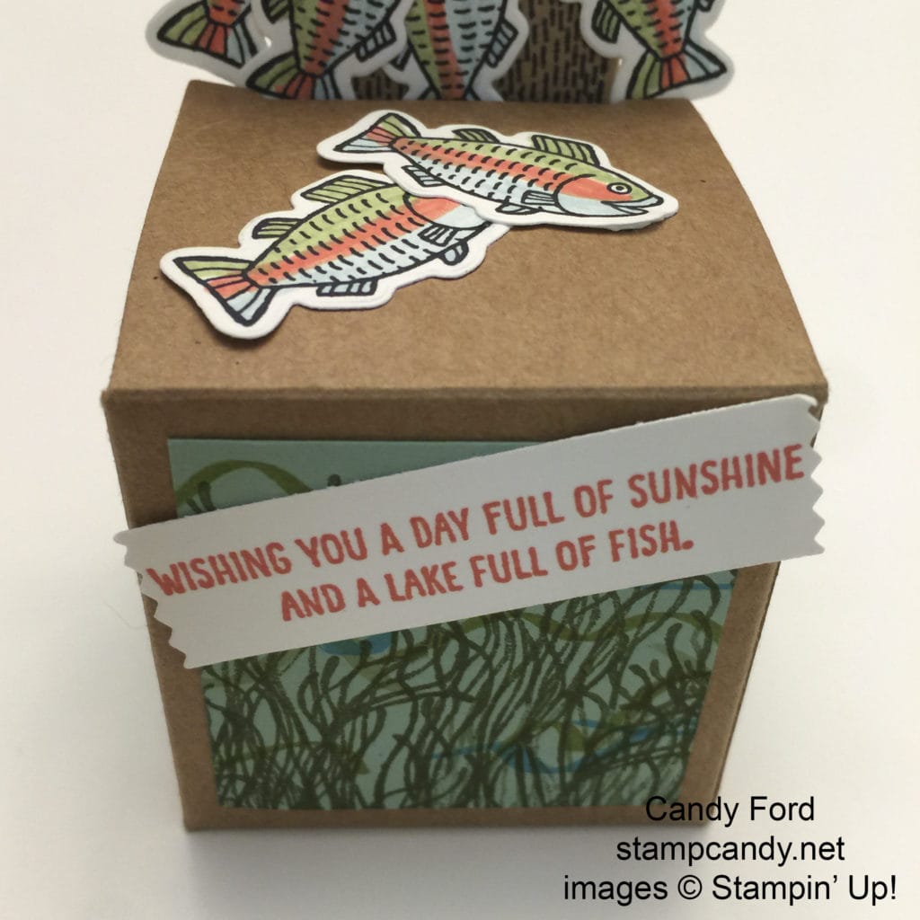 Bear Hugs box f