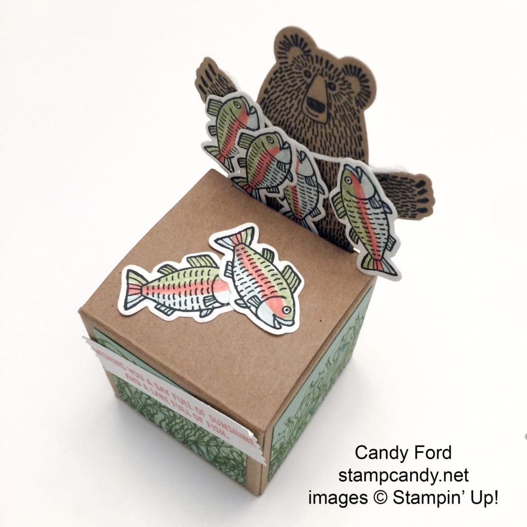 Bear Hugs box h