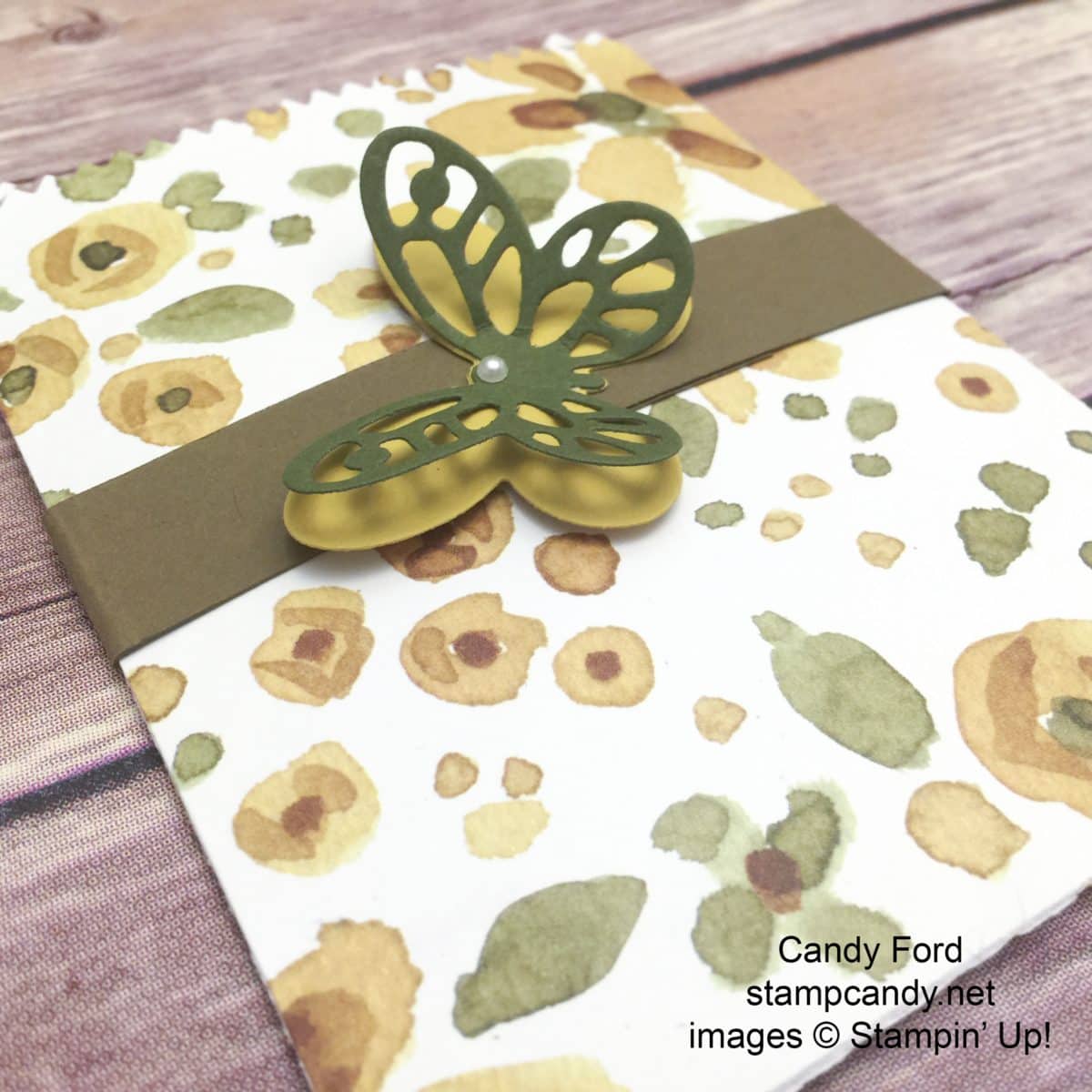 butterfly retiring in color treat bag b