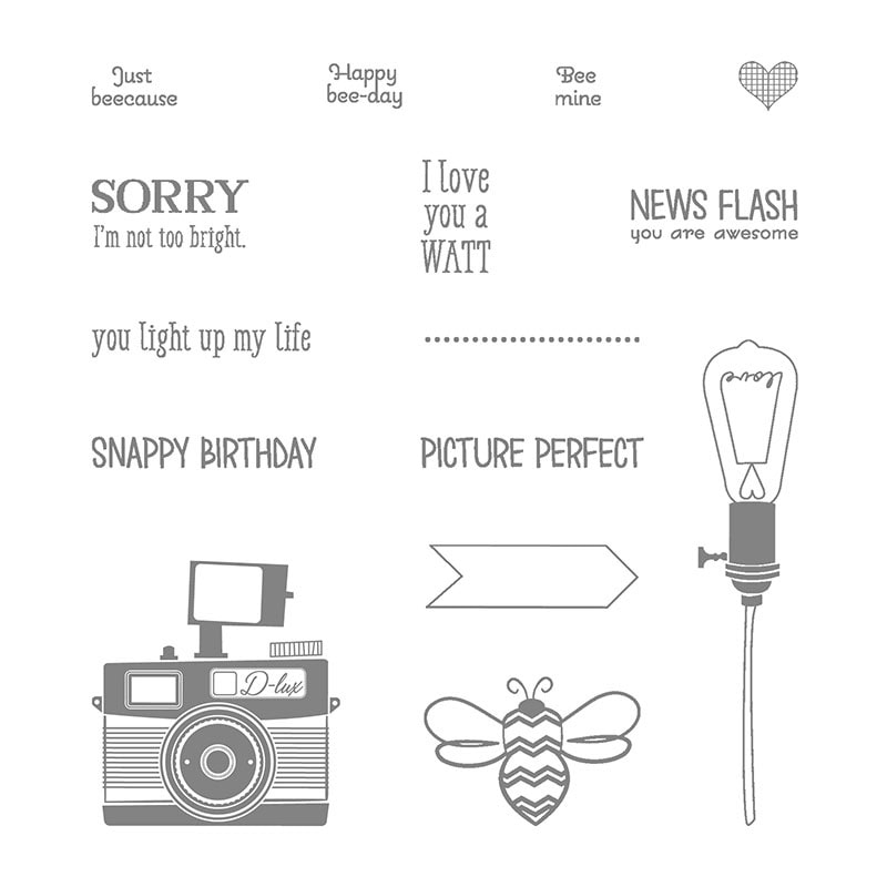 Pun Intended stamp set