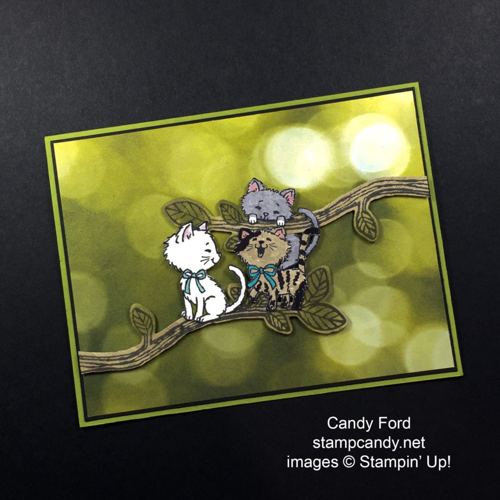 cats on a branch b