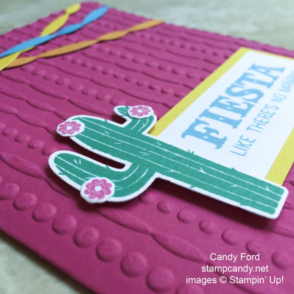 fiesta cactus no manana card b