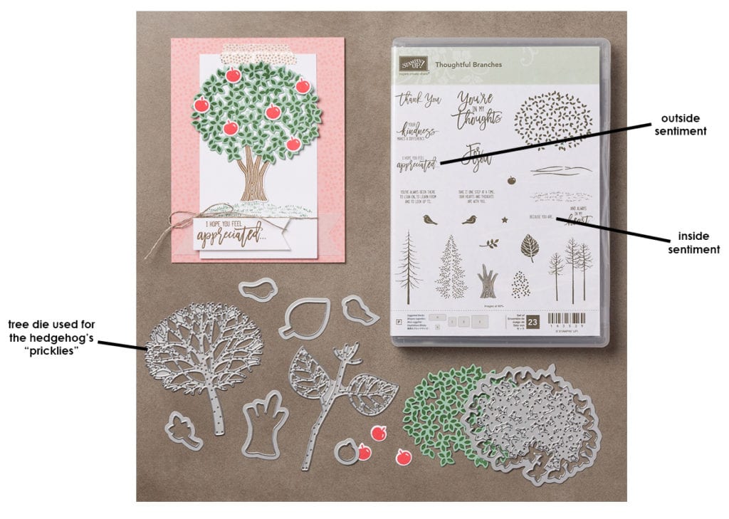 Thoughtful Branches bundle w arrows