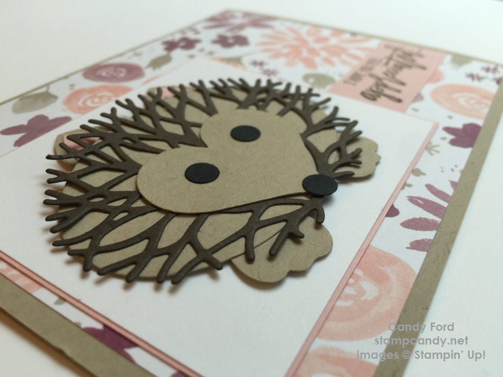 hedgehog - image-8-1024x768 b