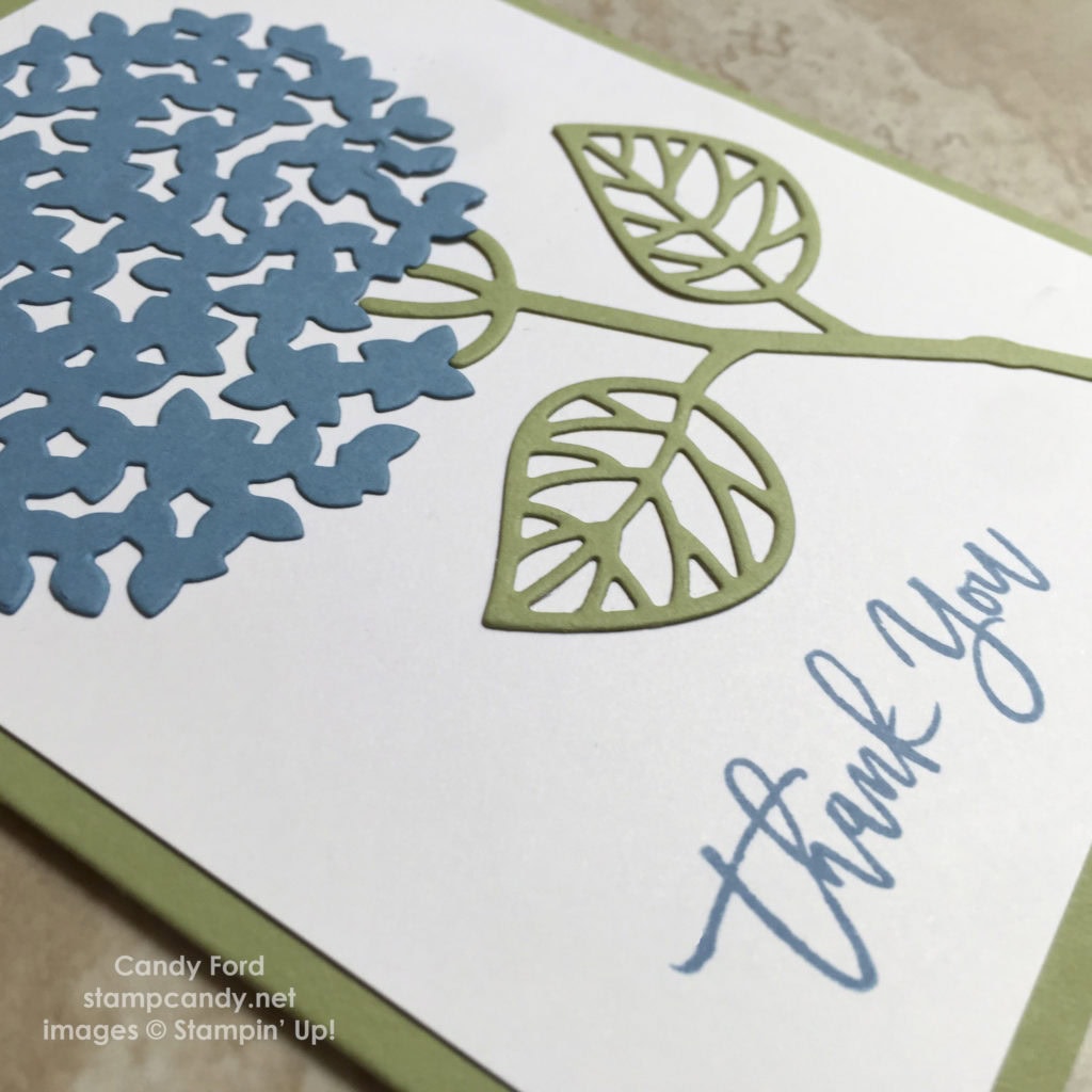 hydrangea card close up