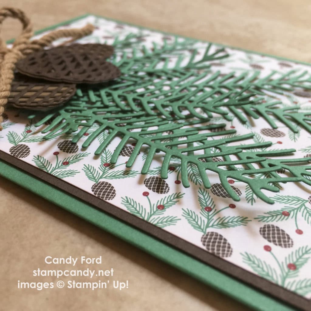 pinecone bough card close up