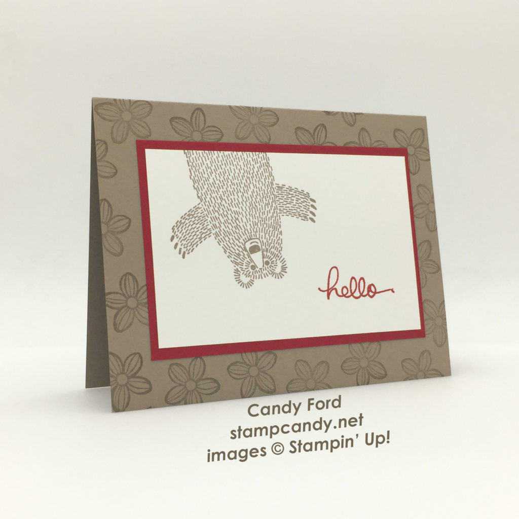 hello bear card a