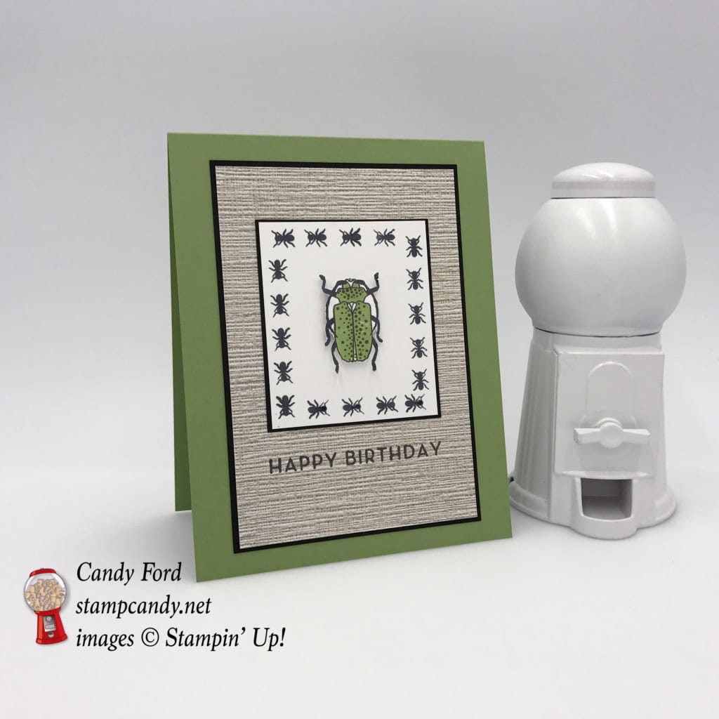 Designed by Candy Ford at stampcandy.net. Learn how to make this birthday card with the Beetles & Bugs stamp set, Big on Birthdays stamp set, Serene Scenery Designer Series Paper Stack, DSP, birthday card, Stampin' Up! #stampcandy