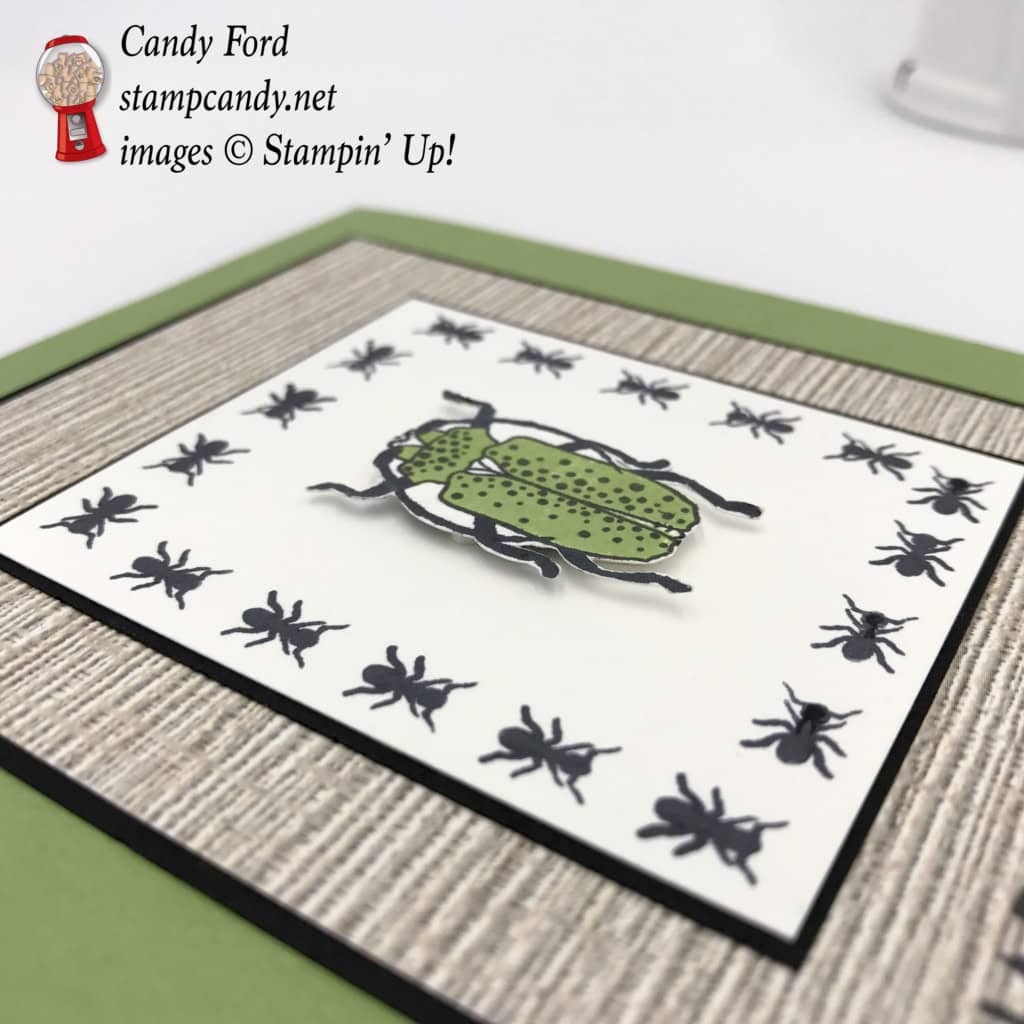 Designed by Candy Ford at stampcandy.net. Learn how to make this birthday card with the Beetles & Bugs stamp set, Big on Birthdays stamp set, Serene Scenery Designer Series Paper Stack, DSP, birthday card, Stampin' Up! #stampcandy