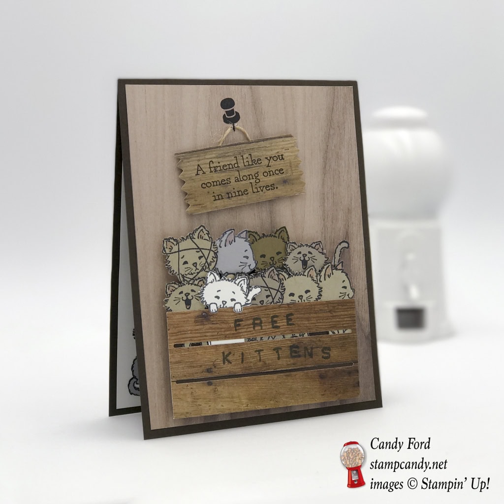 Make this card for a great friend using the Wood Textures DSP, Wood Crate Framelits Dies, and Pretty Kitty stamp set by Stampin' Up! #stampcandy