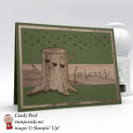 Woodsy Love card made with the Always & Forever stamp set and the Wood Textures DSP by Stampin' Up! #stampcandy