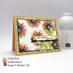 GDP105 Painted Harvest Bundle stamp set Leaf Punch card by Stampin' Up! stampcandy