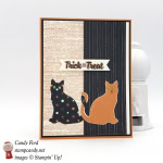 Make this with the Spooky Cat bundle and Spooky Night DSP by Stampin' Up! #stampcandy
