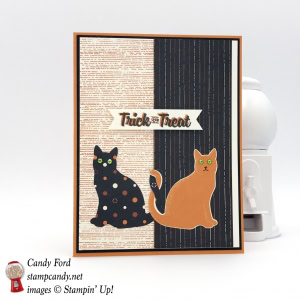 Make this with the Spooky Cat bundle and Spooky Night DSP by Stampin' Up! #stampcandy