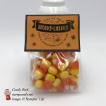 Spookylicious Treat Bag made with The Little Things stamp set and 3x6 Gusseted Cellophane Bag by Stampin' Up! #stampcandy, Basic Black, Pumpkin, Pie, Halloween candy corn