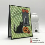 spooky cat stampin' up autumn greetings halloween card by stamp candy