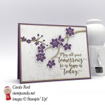 Beautiful branch of flowers grace the front of this beautiful handmade card made by Stamp Candy using Stampin' Up! Colorful Seasons bundle.