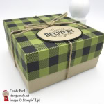 special delivery plaid box Merry Little Christmas DSP Merry Little Labels stamp set Jute Twine Stampin' Up! #stampcandy