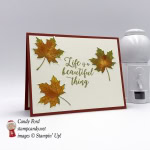 stampin up colorful seasons fall leaf card autumn leaves life is a beautiful thing stamp candy candy ford handmade card