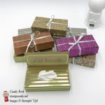 tissue box for purse made with Colorful Seasons stamp set and Foil Frenzy Specialty Designer Series Paper by Stampin' Up! #stampcandy