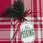 No Peeking tag, Merry Little Labels stamp set, Green Twigs, Stampin' Up! #stampcandy