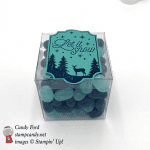 Stampin' Up! Merry Little Labels Let it Snow clear acetate box of jelly beans gift by Candy Ford of Stamp Candy