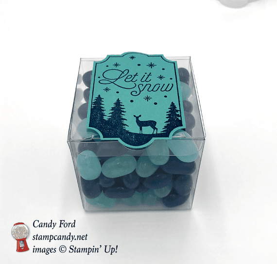 Stampin' Up! Merry Little Labels Let it Snow clear acetate box of jelly beans gift by Candy Ford of Stamp Candy