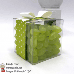 2" x 2" acetate box filled with Jelly Beans and decorated with Stampin' Up! DSP and a Bow made with the Bow Builder Punch
