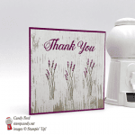 Handmade Thank You card made using Stampin' Up! Daisy Delight stamp set by Candy Ford of Stamp Candy