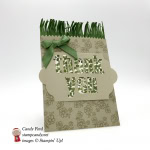 Paper Pumpkin 02-2018 Wildflower Wishes alternate project by Candy Ford of #stampcandy