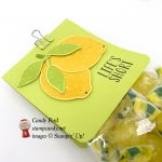 Lemon Zest bundle, Lemon Builder Punch, Tutti-frutti Clips, bag of lemon drops, gift, food, candy,lemons,Life's Short Squeeze it for all it's worth, #stampcandy