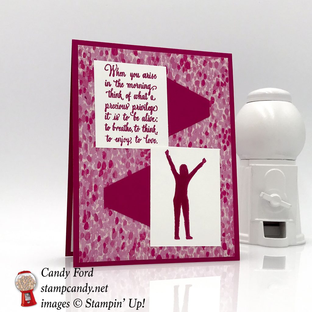 Enjoy Life card in Lovely Lipstick by Stampin' Up! #stampcandy