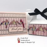 Kindness & Compassion stamp set, Graceful Glass Designer Vellum, Mini Gable Box, Stampin' Up! #stampcandy