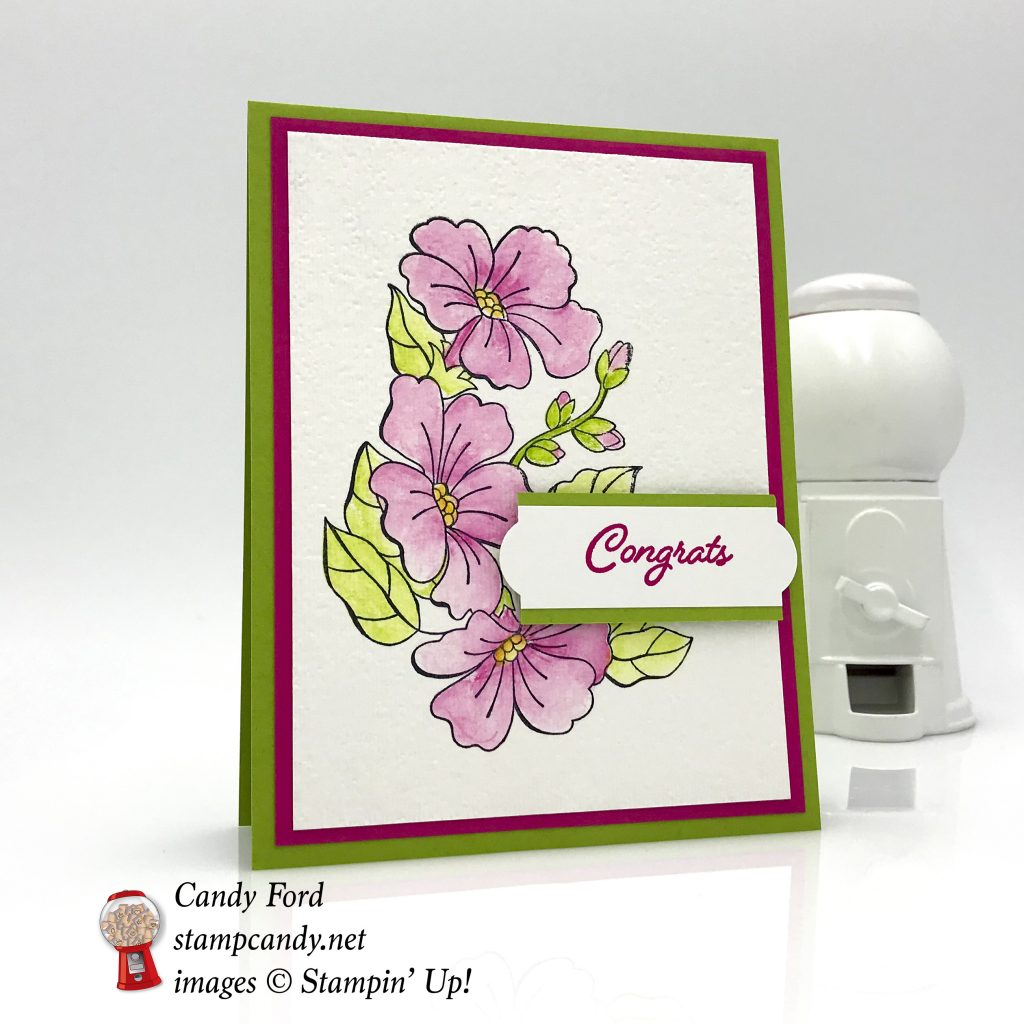 Color You Season handmade card - Blended Seasons stamp set, Watercolor Pencils, watercolor paper, Aqua Painter, Everyday Label Punch, Stampin' Up! #stampcandy