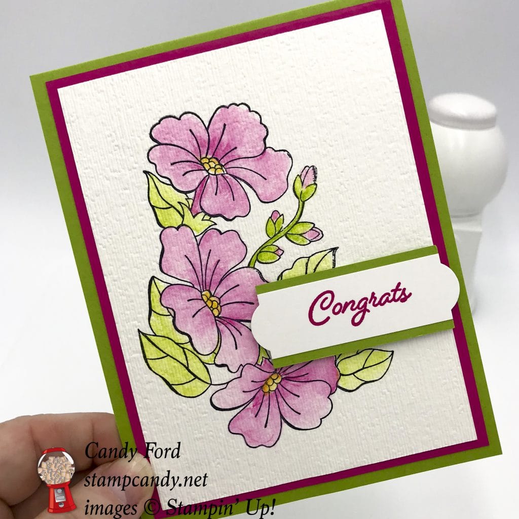 Color You Season handmade card - Blended Seasons stamp set, Watercolor Pencils, watercolor paper, Aqua Painter, Everyday Label Punch, Stampin' Up! #stampcandy