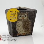 Still Night, Cauldron Bubble, Wood Textures, Trick or Treat Halloween Takeout Treat Box, Stampin' Up!, IRBH Monster Mash #stampcandy